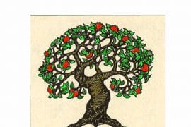 Με περίσκεψη